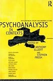 Psychoanalysis in Context: Paths Between Theory and Modern Culture