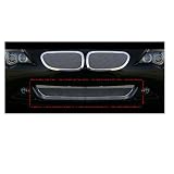 2004-2011 BMW 6 SERIES COUPE MESH BUMPER GRILLE GRILL by T-Rex Grilles