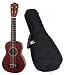 Lanikai-LU-11-Standard-Size-Ukulele-Bundle-with-Gig-Bag_1.jpg