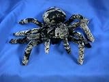 UPC 091671707398 product image for Fiesta Toys Tarantula Spider Plush Stuffed Animal, 8.5