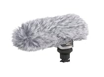 Canon DM-100 Directional Stereo Microphone