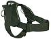 Dean & Tyler All Weather Dog Harness - Extra Large - Fits Girth 34 - 47 - Works Great for Breeds Like Newfoundland ,Saint Bernard, Large Cane Corso Etc... - Black for Everyday Use - Great Product!!! - Made in Europe !!!