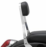 COBRA SISSY BAR STD M90 02-5342
