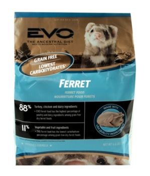 ferret food