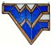 West Virginia Suncatcher