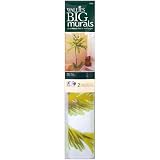 Wallies Murals-Palm Tree