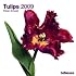 2009 Tulips Wall Calendar (Grid Calendar)