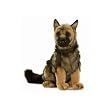 German Shepherd Plush Puppy 16" High By Hansa