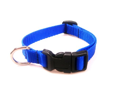 XSmall Blue Nylon Webbing Dog Collar: 1/2
