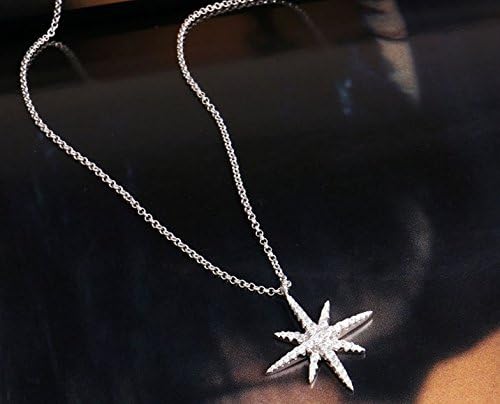 APM Same as the official website 925 Silver Micro Insert Zircon Snowflakes Dual purpose earrings Necklace (Necklace)