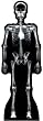 X-Ray Skeleton Life-Size Standup Poster