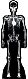 X-Ray Skeleton Life-Size Standup Poster