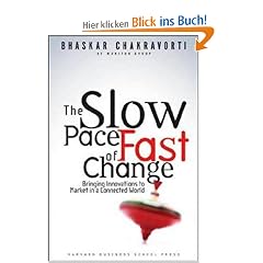 The Slow Pace of Fast Change: Bringing Innovations to Market in a Connected World