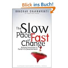 The Slow Pace of Fast Change: Bringing Innovations to Market in a Connected World