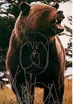 Martin Archery Target Face - MAT-1B BEAR