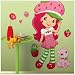 Strawberry Shortcake Mega Decal Pack - Includes 1 Giant Scratch N Sniff Wall Decal (17 Pieces) and 2
