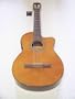 Siempre 149 Classical Acoustic Guitar SS1
