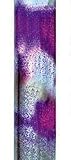 Essential Medical Supply Spring Garden Collection Wood Derby Handle Cane, Rainbow