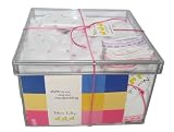Noa Lily Medium Layette Gift Basket, Pink Hearts, 6 Months