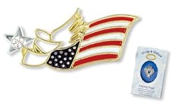 US FLAG PATRIOTIC Wings & Wishes Angel Tac Pin