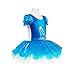 Jastore Girls Princess Crystal Shoes Print Dance Dress Ballet Leotard Tutu Dress