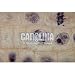 Ascaris and Onion Mitosis Microscope Slide Set