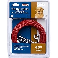 PETCO 40' Dog Tie-Out Cable