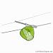 Paulmann WS HighWire Duo Spot Zambaioni 50W GZ10 Chrom matt/Grün transp 230V