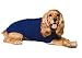 Fashion Pet Classic XX-Large Cable Dog Sweater, Cobalt Blue