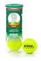 Prince Regular Duty Felt Tennis Ball Can (3 Balls in Single Can)