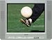 ORION AMERICA,INC. DFTV200 SANSUI 20 Inch FLAT TV WITH SVHS