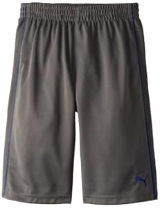PUMA - Kids Boys 8-20 Piped Short, Quiet Shade, Medium