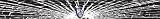 New Jersey Nets Shattered Auto Visor Decal