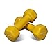 Fitness Republic Vinyl Dumbbell Pairs - Combo