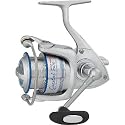 Daiwa Coastal Inshore - Model: COASTAL3000