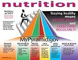 The New Food Pyramid Poster -- 17"x 22" Laminated Poster. Grains, Vegetables, Meats & Beans, Oils, Dairy, and Activity!