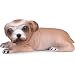 Small Bulldog Puppy Figure