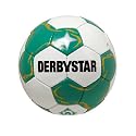 DERBYSTAR Minifußball "WERDER BREMEN"