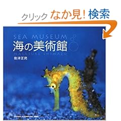 【クリックでお店のこの商品のページへ】海の美術館 (青菁社フォトグラフィックシリーズ): 島津 正亮: 本