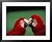 Green-Winged Macaws (Ara Chloroptera) at Jurong Bird Park, Singapore Styles Framed Art Poster Print by Manfred Gottschalk, 31x25