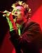 Scott Weiland Stone Temple Pilots 16x20 Photo