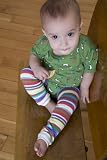 BabyLegs Anenome Leg Warmers