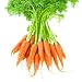 Carrot Oil 100% Pure, Undiluted