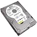 Western Digital Caviar RE 160GB UDMA/100 7200RPM 8MB IDE Hard Drive
