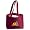 Minnesota Golden Gophers