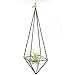 Rustic Style Freestanding Hanging Metal Tillandsia Air Plant Rack Holder Black 10 inches Height Quadrilateral Pyramid Shape Geometric