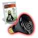 R-Zilla SRZ100011807 Ceramic Heat Emitter 100 watts