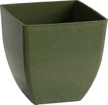 Dynamic Design EBK0906CI Berkeley 9-Inch Ecogardener Planter Cilantro