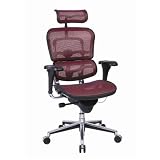 EUROTECH Ergohuman Mesh Chairs - Green