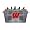 Wisconsin Badgers